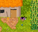 Nataday Village - Dragon Ball Z: Buu's Fury