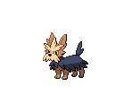 #0507 Herdier - Pokémon Black / White