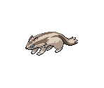 #0264 Linoone - Pokémon Black / White