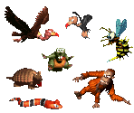 Ground Enemies - Donkey Kong Country