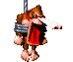 Donkey Kong - Donkey Kong Country 2: Diddy's Kong Quest