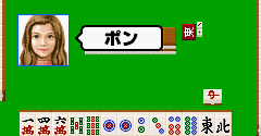 Nippon Pro Mahjong Renmei Kounin: Tetsuman Advance - Menkyo Kaiden Series