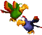 Squawks & Quawks the Parrot