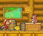 Brothers Bear (Donkey Kong: King of Swing-Style)