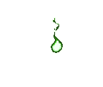 Seed of Nature