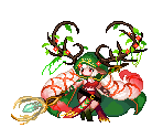 Awakened Ancient Druid