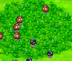 Goomba Wrangler