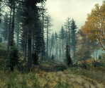 Game Banner & Icon