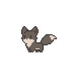 Fox Cub (Black)