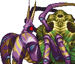 Hermit Crab