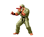 Mr. Karate
