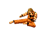 Ryo