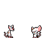 Pinky & The Brain