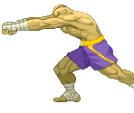 Sagat