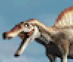 Carnivore 3
