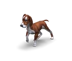 Dog 2