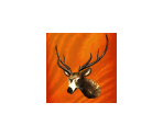 Achievement Icons