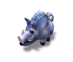 Boar (Vanheym)
