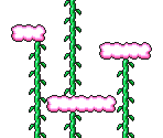 Stage 1-1 (5)