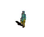 Human 26