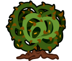 Bloonberry Bush