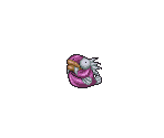 Killer Fish