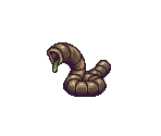 Worm