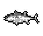 Fish (Ocean)