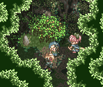 Treant's Forest