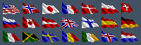 Winter Gold (PAL) - Flags