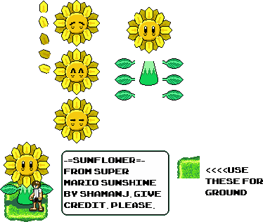 Mario Customs - Sunflower