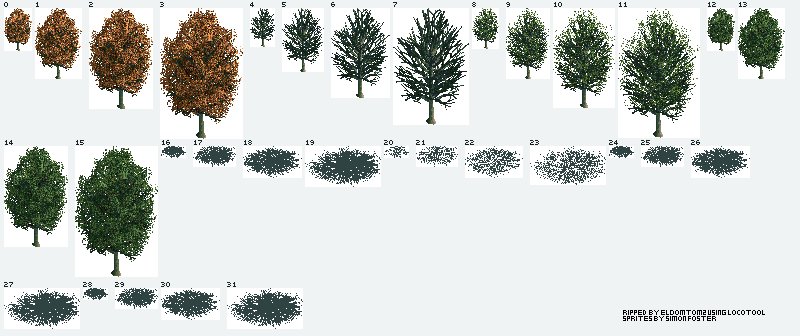 Chris Sawyer's Locomotion - Common Beech Tree