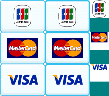 Wii Shop Channel - Credit Cards