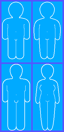 Click Medic (JPN) - Body Type Outlines