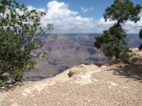 Scratch - Grand Canyon