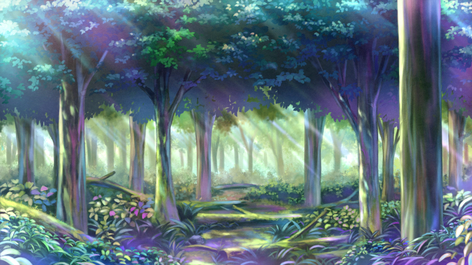 Forest of Magic