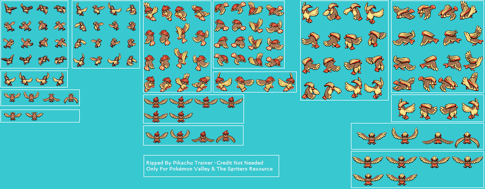 Pokémon Ranger 3: Guardian Signs - Pidgey, Pidgeotto & Pidgeot