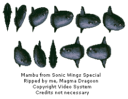 Sonic Wings Special - Manbou