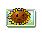 Seed Packets (High Resolution) - Plants vs. Zombies