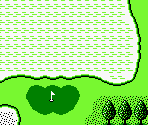 Japan Course #09 - Golf