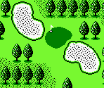 Japan Course #11 - Golf