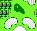 Japan Course #14 - Golf