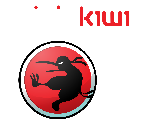 Ninja Kiwi Splash Screen - Bloons TD 5 (2014, Steam)