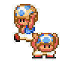 Toad (SMB2 SNES-Style, Expanded) - Mario Customs