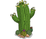 Mother Cactus - The Simpsons: Tapped Out