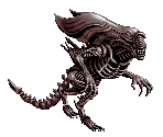 Queen Alien - Alien vs. Predator