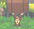 Level Previews - Donkey Kong Jungle Beat