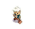 Will - Sweeping - Moonlighter