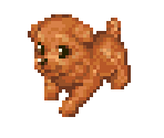 Dog 3 - Dogz