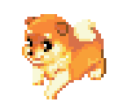 Dog 6 - Dogz
